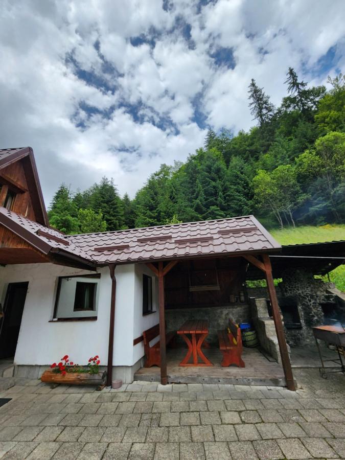 Pensiunea Susman Rachitele Buitenkant foto