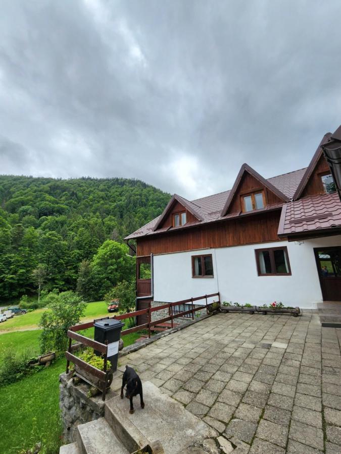 Pensiunea Susman Rachitele Buitenkant foto