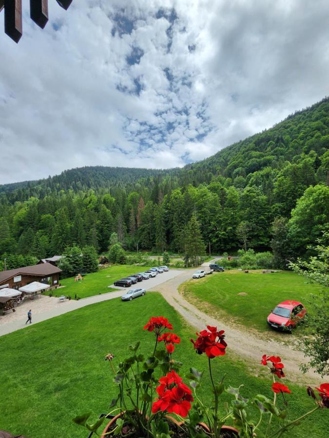 Pensiunea Susman Rachitele Buitenkant foto